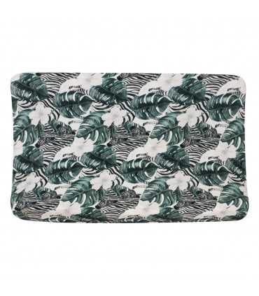 Vista horizontal Zebras