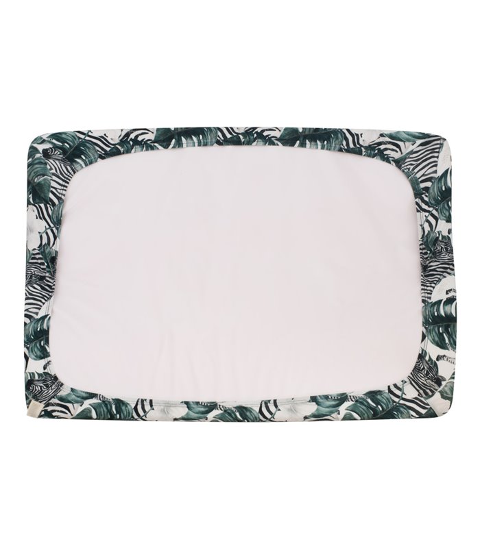 Vista traseira das zebras