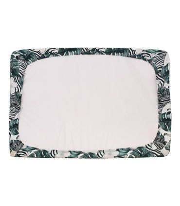 Vista traseira das zebras