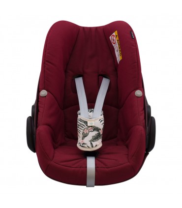 vista frontal African Sunset