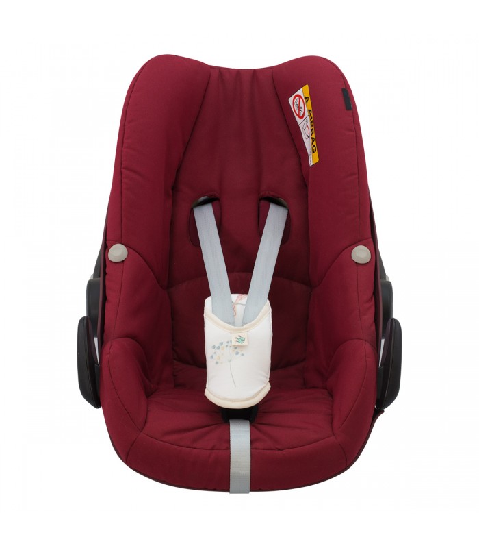 Vista frontal DragonFly