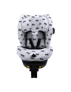 Funda para Avionaut Stardust Raccoon Vista Frontal