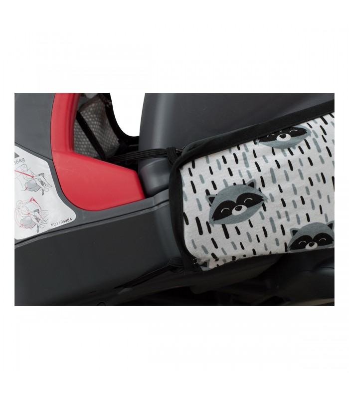 Detalle elastico Racoon Town