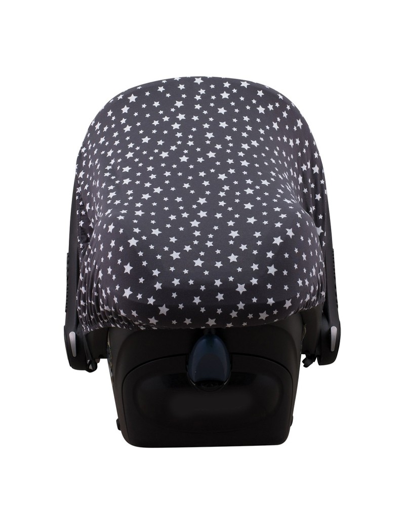 Maxi cosi Pebble y Bebe confort - Vista trasera Winter Sky