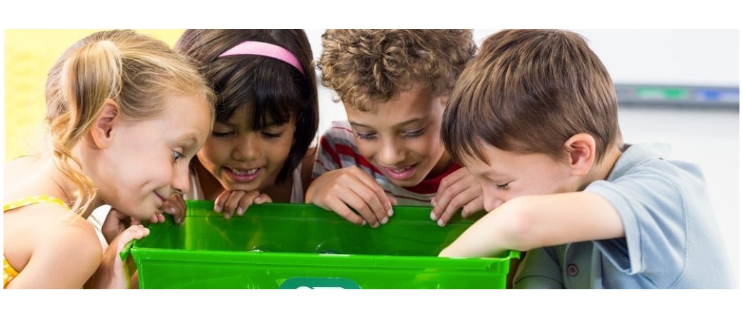 Suggerimenti per educare i tuoi figli da un punto di vista sostenibile