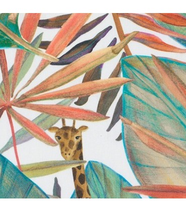 SAFARI