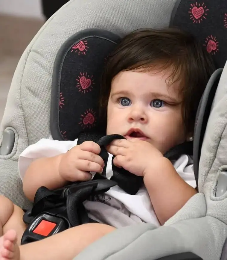 Image of universal liner for group 0/1 car seat
