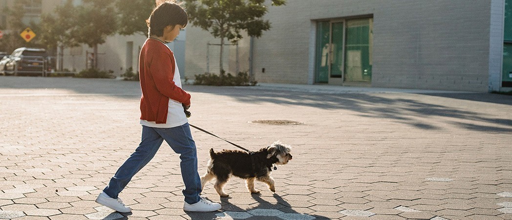 Peques y mascotas, sus pros y contras