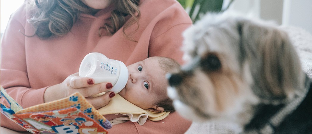 Bébés et animaux de compagnie